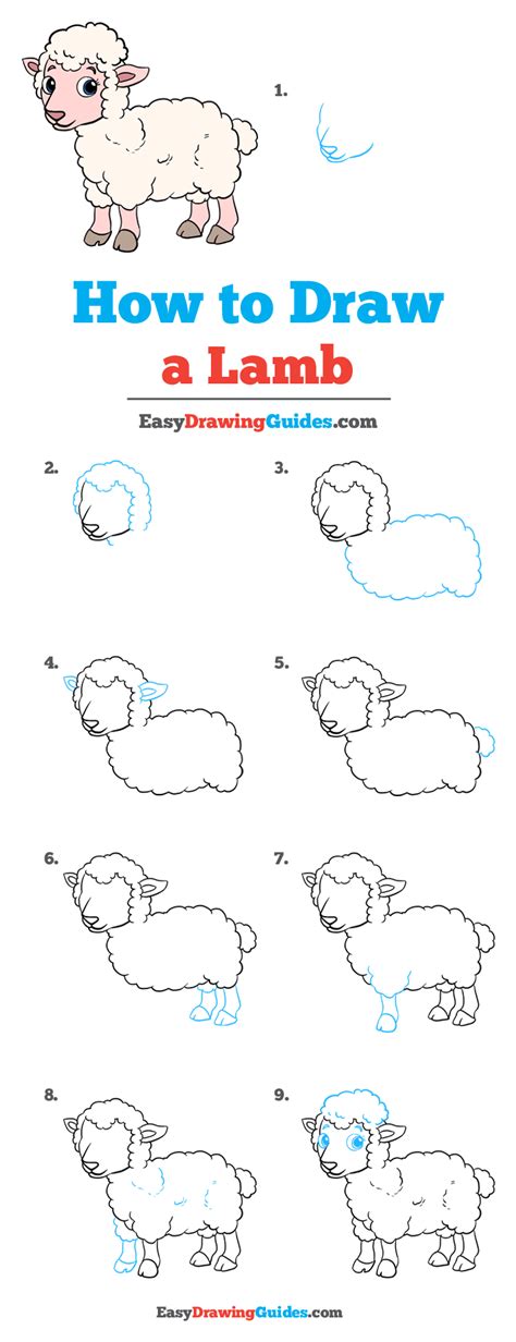 How To Draw A Lamb In (8) Easy Steps For Kids .